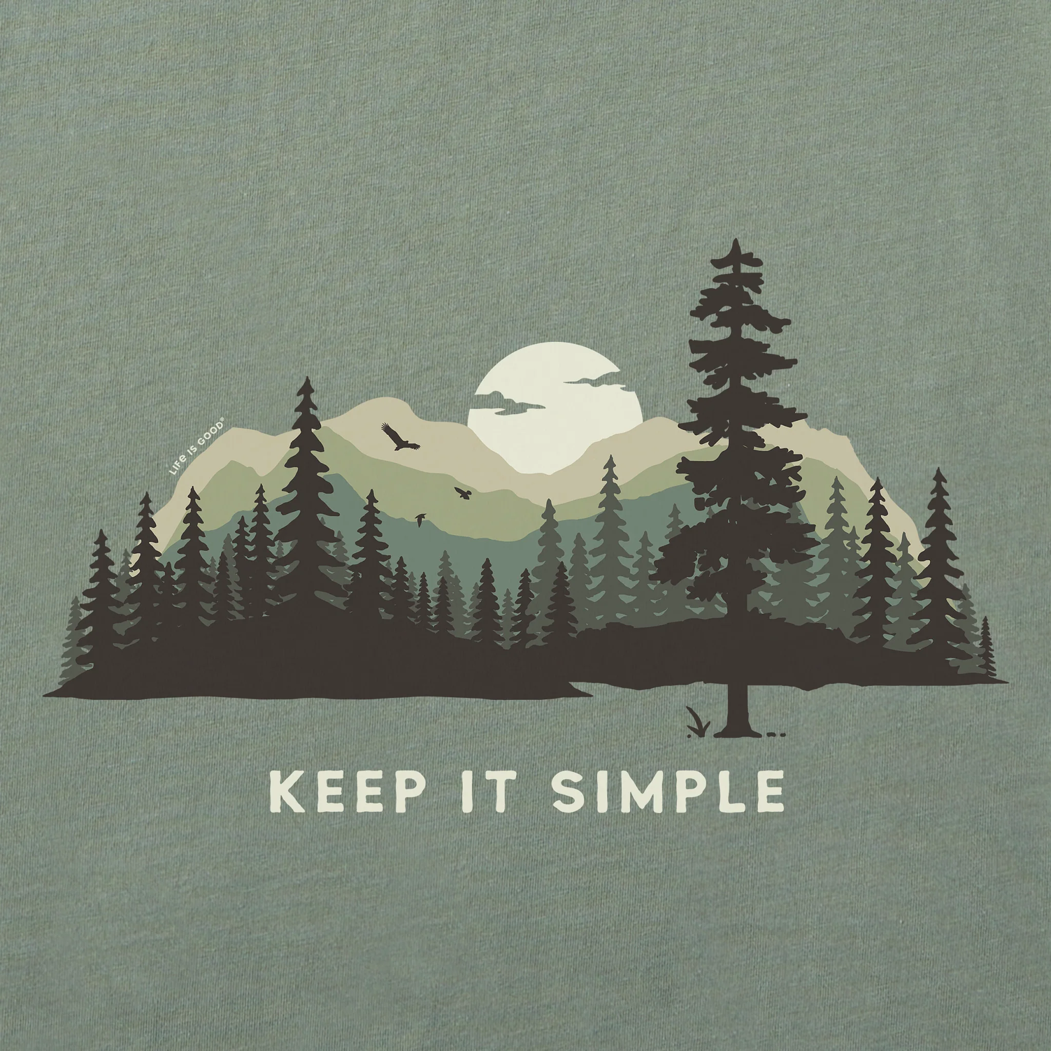 Thumbnail 12