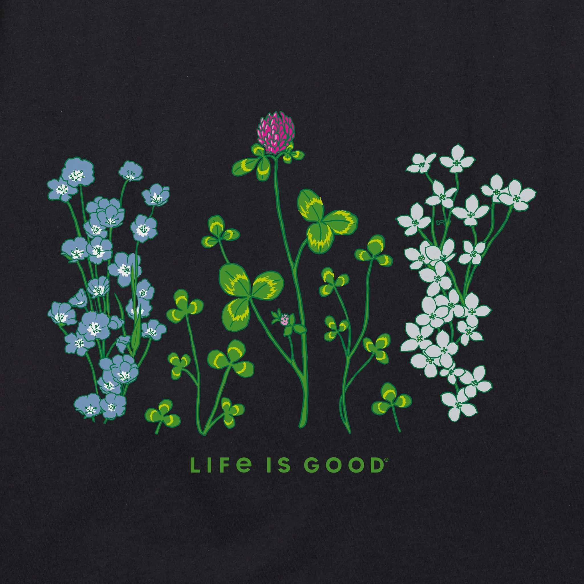 Thumbnail 12